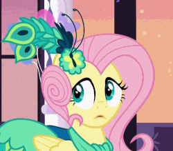 Size: 800x700 | Tagged: safe, screencap, fluttershy, g4, make new friends but keep discord, :i, animated, cropped, cute, face, female, meme, shyabetes, we bought two cakes