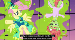 Size: 1600x855 | Tagged: safe, edit, edited screencap, screencap, fluttershy, tree hugger, g4, make new friends but keep discord, bottomless, caption, featureless crotch, meme, youtube caption