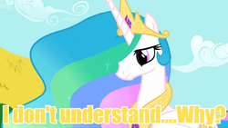 Size: 595x335 | Tagged: safe, screencap, princess celestia, g4, female, image macro, meme, solo, yellow text