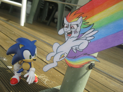 Size: 1152x864 | Tagged: safe, artist:spectrum-sparkle, rainbow dash, g4, bashing, crossover, irl, male, papercraft, photo, sonic the hedgehog, sonic the hedgehog (series), toy