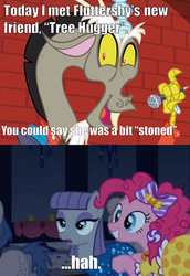 Size: 494x720 | Tagged: safe, edit, edited screencap, screencap, discord, maud pie, orion, serena, shooting star (g4), earth pony, pony, g4, make new friends but keep discord, comedy, cropped, image macro, meme, pun, stand-up comedy