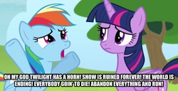 Size: 926x474 | Tagged: safe, screencap, rainbow dash, twilight sparkle, alicorn, pony, g4, alicorn drama, alicorn drama drama, drama, female, image macro, mare, meme, metadrama, op failed at starting shit, op is a duck, op is trying to start shit, twilight sparkle (alicorn)