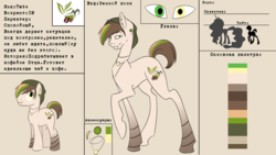 Size: 1024x576 | Tagged: safe, artist:noodlerain, oc, oc only, oc:tate, heterochromia, reference sheet, solo