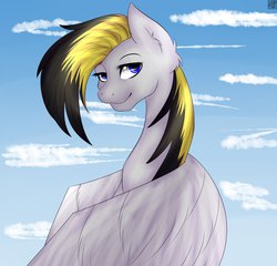 Size: 912x876 | Tagged: safe, artist:noodlerain, oc, oc only, pegasus, pony, solo