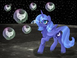 Size: 1280x960 | Tagged: safe, artist:virginiaguf, princess luna, chicken, g4, bubble, context is for the weak, female, moon, photo, s1 luna, solo