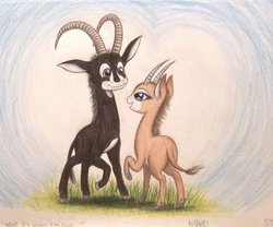 Size: 981x815 | Tagged: safe, artist:thefriendlyelephant, oc, oc only, oc:sabe, oc:uganda, antelope, giant sable antelope, animal in mlp form, barely pony related, bashful, blushing, cloven hooves, embarrassed, grass, horns, shipping, traditional art