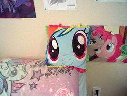 Size: 640x480 | Tagged: safe, rainbow dash, g4, bigface, pillow