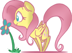 Size: 1023x749 | Tagged: safe, artist:strangiesleepy, fluttershy, g4, female, flower, solo