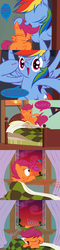 Size: 792x3299 | Tagged: safe, artist:frist44, rainbow dash, scootaloo, g4, bed, blanket, cheerilee-s-chalkboard, comic, fluffy, room, scootacurse, scootalove, sleeping, snoring, tumblr