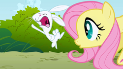 Size: 1280x720 | Tagged: safe, screencap, angel bunny, fluttershy, dragonshy, g4