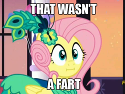 Size: 452x340 | Tagged: safe, screencap, fluttershy, g4, make new friends but keep discord, my little pony: friendship is magic, :i, caption, cropped, cute, exploitable meme, female, image macro, implied sharting, meme, solo, text, that wasn't a fart, we bought two cakes