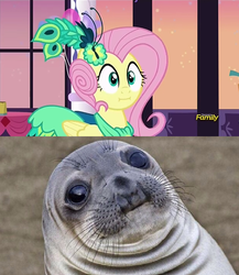 Size: 624x720 | Tagged: safe, screencap, fluttershy, g4, make new friends but keep discord, :i, awkward moment, awkward moment seal, comparison, cropped, we bought two cakes