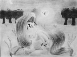 Size: 2592x1936 | Tagged: safe, artist:lortstreet54, fluttershy, firefly (insect), pegasus, pony, g4, female, grayscale, looking at something, looking up, lying down, monochrome, pencil drawing, solo, traditional art