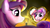 Size: 4800x2700 | Tagged: safe, artist:flamevulture17, princess cadance, g4, female, mirror, solo