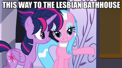 Size: 890x500 | Tagged: safe, edit, edited screencap, screencap, aloe, twilight sparkle, alicorn, earth pony, pony, castle sweet castle, g4, alternate hairstyle, caption, female, follow me to the gay bath house, gay bathhouse, image macro, lesbian, mare, meme, punklight sparkle, twilight sparkle (alicorn)