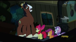 Size: 1077x603 | Tagged: safe, screencap, apple bloom, scootaloo, sweetie belle, trouble shoes, earth pony, pegasus, pony, unicorn, appleoosa's most wanted, g4, cutie mark crusaders, discovery family logo, door, female, filly, frown, male, open mouth, rain, size difference, stallion, unshorn fetlocks, window