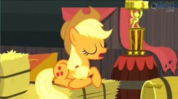 Size: 1075x599 | Tagged: safe, screencap, applejack, appleoosa's most wanted, g4, hay, hay bale, sitting, trophy