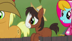 Size: 500x281 | Tagged: safe, screencap, calamity janeberry, heart key, jolene, trouble shoes, earth pony, pony, appleoosa's most wanted, g4, animated, colt, cute, discovery family, discovery family logo, female, grin, hat, leaning, male, mare, open mouth, smiling, stallion, troublebetes, unnamed character, unnamed pony, unshorn fetlocks