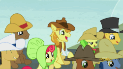 Size: 500x281 | Tagged: safe, screencap, apple bumpkin, apple fritter, blues, braeburn, caramel, cherry cola, cherry fizzy, coco crusoe, meadow song, noteworthy, earth pony, pony, appleoosa's most wanted, g4, season 5, animated, apple family member, cute, discovery family, discovery family logo, faic, female, gif, hat, hay bale, hayburn, laughing, male, mare, slapstick, stallion