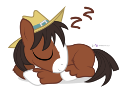 Size: 900x650 | Tagged: safe, artist:dm29, trouble shoes, earth pony, pony, appleoosa's most wanted, g4, colt, cute, eyes closed, fluffy, hat, little trouble shoes, male, prone, simple background, sleeping, smiling, solo, stallion, transparent background, troublebetes, unshorn fetlocks, younger, zzz