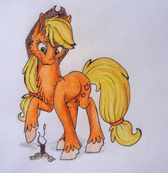 Size: 2206x2276 | Tagged: safe, artist:gloriajoy, applejack, g4, female, high res, raised hoof, sapling, simple background, solo, traditional art, unshorn fetlocks