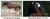 Size: 1443x548 | Tagged: safe, screencap, trouble shoes, clydesdale, earth pony, horse, pony, appleoosa's most wanted, g4, blaze (coat marking), coat markings, comparison, draft horse, facial markings, irl horse, male, socks (coat markings), stallion
