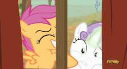Size: 800x437 | Tagged: safe, screencap, scootaloo, sweetie belle, pegasus, pony, unicorn, appleoosa's most wanted, g4, season 5, animated, context is for the weak, discovery family, discovery family logo, extreme speed animation, eyes closed, female, filly, foal, gif, glowing, glowing horn, gritted teeth, horn, hyper shake, logo, out of context, spread wings, teeth, vibrating, window, wings