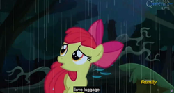 Size: 1600x855 | Tagged: safe, screencap, apple bloom, earth pony, pony, appleoosa's most wanted, g4, meme, youtube caption