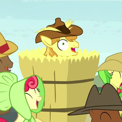 Size: 1080x1080 | Tagged: safe, screencap, apple bumpkin, apple fritter, braeburn, coco crusoe, meadow song, earth pony, pony, appleoosa's most wanted, g4, apple family member, female, hay, hay bale, hayburn, male, mare, stallion