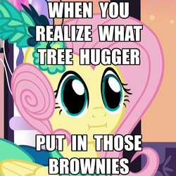 Size: 882x882 | Tagged: safe, edit, screencap, fluttershy, g4, make new friends but keep discord, :i, caption, cropped, dilated pupils, female, flutterhigh, image macro, implied drugging, implied drugs, implied tree hugger, meme, solo, text, we bought two cakes