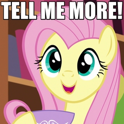 Size: 575x575 | Tagged: safe, screencap, fluttershy, pegasus, pony, g4, make new friends but keep discord, caption, cropped, cute, excited, female, happy, image macro, mare, open mouth, reaction image, shyabetes, smiling, solo, tea