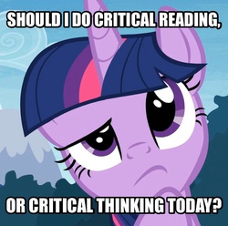 Size: 606x602 | Tagged: safe, screencap, twilight sparkle, alicorn, pony, g4, choice, female, image macro, meme, solo, twilight sparkle (alicorn)