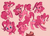 Size: 9183x6559 | Tagged: safe, artist:shira-hedgie, pinkie pie, pony, g4, :p, absurd resolution, bedroom eyes, cake, cute, diapinkes, eating, floppy ears, multeity, profile, silly, silly pony, sketch, smiling, tongue out