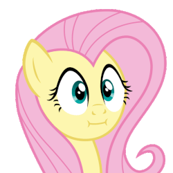 Size: 567x567 | Tagged: safe, artist:cheezedoodle96, fluttershy, pony, g4, make new friends but keep discord, :i, animated, cute, faic, female, mare, poker face, shyabetes, simple background, solo, transparent background, vector, vibrating, we bought two cakes, wide eyes
