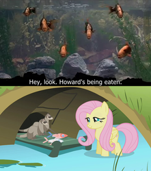 Size: 524x594 | Tagged: safe, edit, edited screencap, screencap, fluttershy, ferret, fish, pegasus, pony, dragonshy, g4, caption, carnivore, cute, dead, feeding, female, mare, monty python, monty python's the meaning of life, surreal