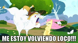 Size: 490x275 | Tagged: safe, angel bunny, bulk biceps, fluttershy, g4, image macro, meme, spanish, translated in the comments, yelling