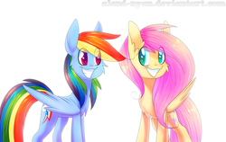 Size: 1500x949 | Tagged: safe, artist:gnidagovnida, fluttershy, rainbow dash, pegasus, pony, g4, cheek fluff, colored, duo, eye clipping through hair, looking at each other, simple background, smiling, white background