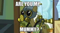Size: 1261x689 | Tagged: safe, edit, edited screencap, screencap, max raid, earth pony, pony, bloom & gloom, g4, cinemaquestria, cropped, doctor who, empty child, image macro, male, meme, pest control pony, reference, solo, the empty child