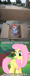 Size: 513x1273 | Tagged: safe, fluttershy, rainbow dash, pegasus, pony, fanfic:pattycakes, g4, exploitable meme, fluttermom, good people finding dash meme, meme, this can only end well, unfortunate implications