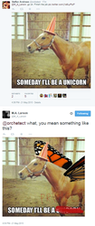 Size: 401x959 | Tagged: safe, horse, alicornified, irl, irl horse, m.a. larson, meme, meta, photo, steffan andrews, text, thanks m.a. larson, traffic cone, traffic cone unicorn, twitter