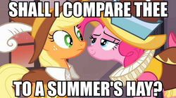 Size: 892x500 | Tagged: safe, screencap, applejack, chancellor puddinghead, pinkie pie, smart cookie, g4, image macro, meme, shakespearean insults