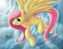 Size: 1024x791 | Tagged: safe, artist:xtreme9nahual, fluttershy, g4, female, solo