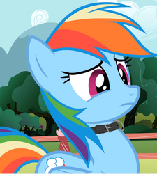 Size: 790x879 | Tagged: safe, edit, edited screencap, screencap, rainbow dash, pegasus, pony, g4, bdsm, collar, cute, dashabetes, female, frown, pet, pet play, solo