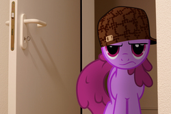 Size: 4500x3000 | Tagged: safe, artist:stormxf3, berry punch, berryshine, g4, doorway, frown, hat, irl, meme, photo, ponies in real life, scumbag hat, scumbag steve, solo, vector