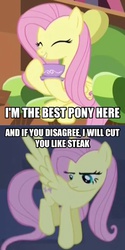 Size: 606x1210 | Tagged: safe, edit, edited screencap, screencap, fluttershy, g4, caption, comic, female, image macro, meme, screencap comic, solo, threat