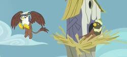 Size: 692x311 | Tagged: safe, screencap, gardyloo, gretchen, griffon, g4, the lost treasure of griffonstone, background griffon, bird house, cropped, duo, flying, griffonstone