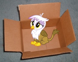 Size: 1442x1140 | Tagged: safe, artist:dasprid, gilda, griffon, g4, the lost treasure of griffonstone, box, cardboard box, chickub, cute, gildadorable, griffon in a box, li'l gilda, solo, younger