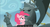 Size: 1600x855 | Tagged: safe, screencap, king grover, pinkie pie, griffon, g4, my little pony: friendship is magic, the lost treasure of griffonstone, groverpie, lidded eyes, lyra bait, meme, statue, youtube caption