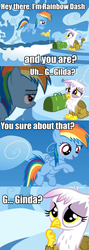 Size: 649x1829 | Tagged: safe, gilda, rainbow dash, griffon, g4, the lost treasure of griffonstone, chickub, cute, diabetes, filly, flashback, flying, frown, gildadorable, image macro, meme, open mouth, pun, raised eyebrow, sitting, smiling, young