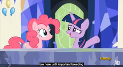 Size: 853x468 | Tagged: safe, screencap, pinkie pie, twilight sparkle, alicorn, pony, g4, the lost treasure of griffonstone, duo, meme, twilight sparkle (alicorn), youtube caption